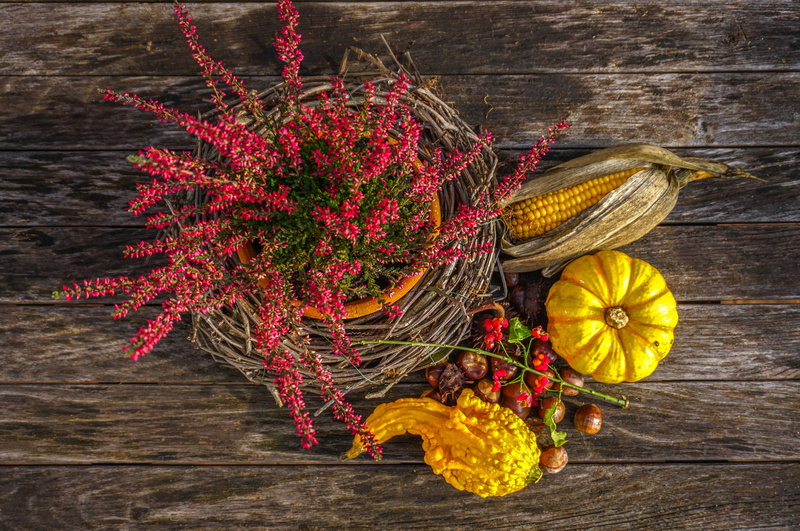 wellbeing, pumpkins, flower, red, container, still life, orange, decoration, no people, gourd, healthy eating, autumn, 5K, of course, harvest, high angle view