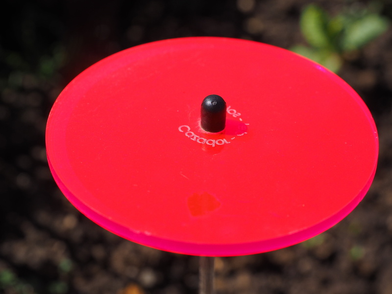 fluorescent, focus on foreground, geometric shape, light, plant, nature, shape, day, neon red, no people, light catcher, red, smiling, pink color, balloon