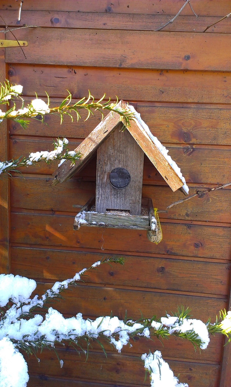 feed, outdoors, gartendeko, winter, snow, house, nature, wood - material, birdhouse, frozen, bird seed, architecture, depend, cold temperature, birds, built structure
