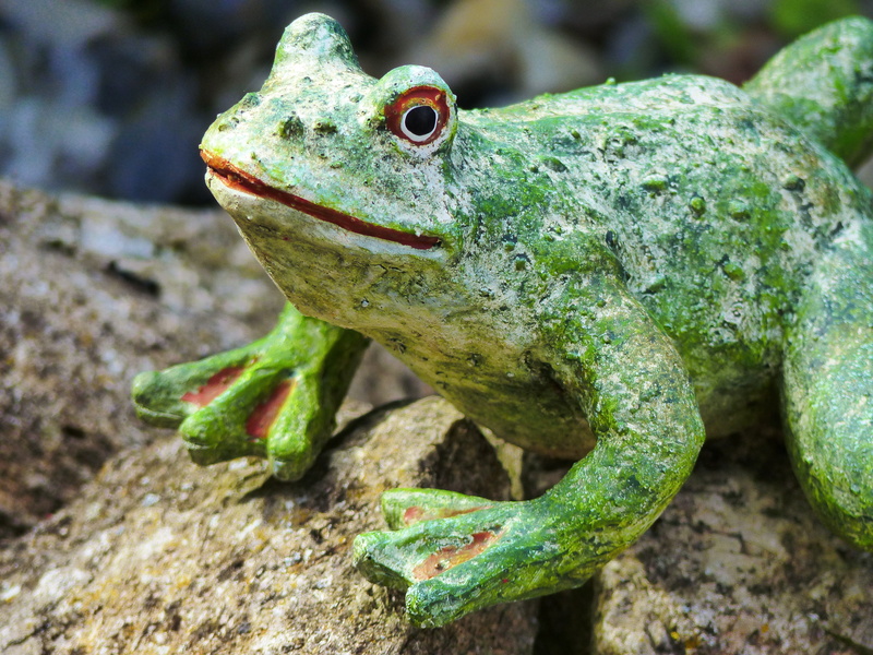 frog, lizard, nature, froschdeko, solid, gartendeko, 4K, one animal, figure, focus on foreground, pond, rock, animal scale, ceramic, close-up, amphibian