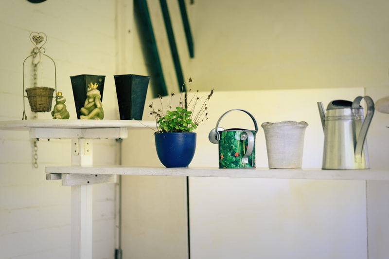 home interior, houseplant, potted plant, glass, domestic room, jar, gartendeko, shelf, home, still life, table, indoors, wall - building feature, household equipment