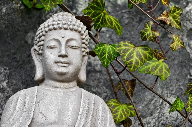 craft, buddha, stone, patina, facade, decoration, face, ceramic, plant, ivy, deco, art and craft, gartendeko, friendly, leaf, figure, green, no people