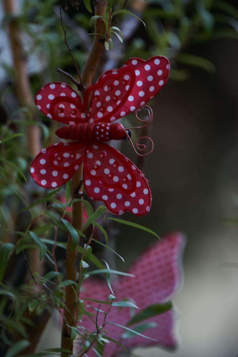 leaf, selective focus, focus on foreground, fruit, butterfly, food, beauty in nature, berry fruit, food and drink, gartendeko, day, nature, wellbeing, garden