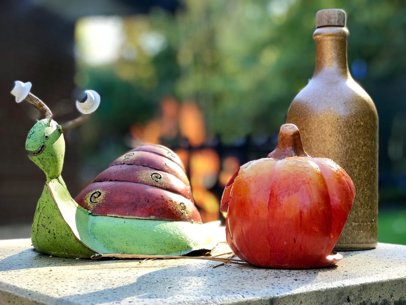 food and drink, autumn, tool in the garden, deco, fruit, outdoors, container, focus on foreground, garden decoration, close-up, nature, red, green color