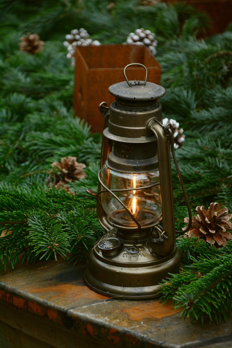 close-up, container, holly, no people, burning, lantern, beside, day, fir green, advent, gartendeko, front or back yard, focus on foreground, light, artificial