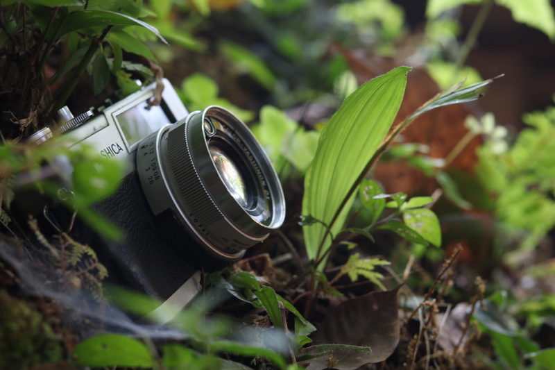 outdoors, land, field, green color, technology, plant part, nature, leaf, growth, close-up, the third eye, day, yashica the camera, plant, selective focus