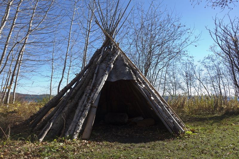 shelter, traditional, forest, ancient, damaged, white, outdoors, land, woods, no people, indigenous, teepee, obsolete, made, architecture, old, home, native