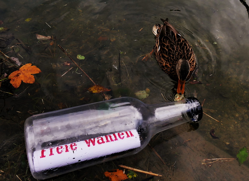 message in a bottle, flotsam and jetsam, animal themes, communication, day, decreasing, text, list, outdoors, plant, high angle view, message, animals in the wild