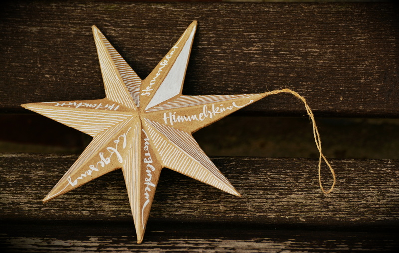 starfish, poinsettia, wood - material, advent, table, christmas time, food and drink, hanging, christmas, indoors, single object, no people, holiday, star shape