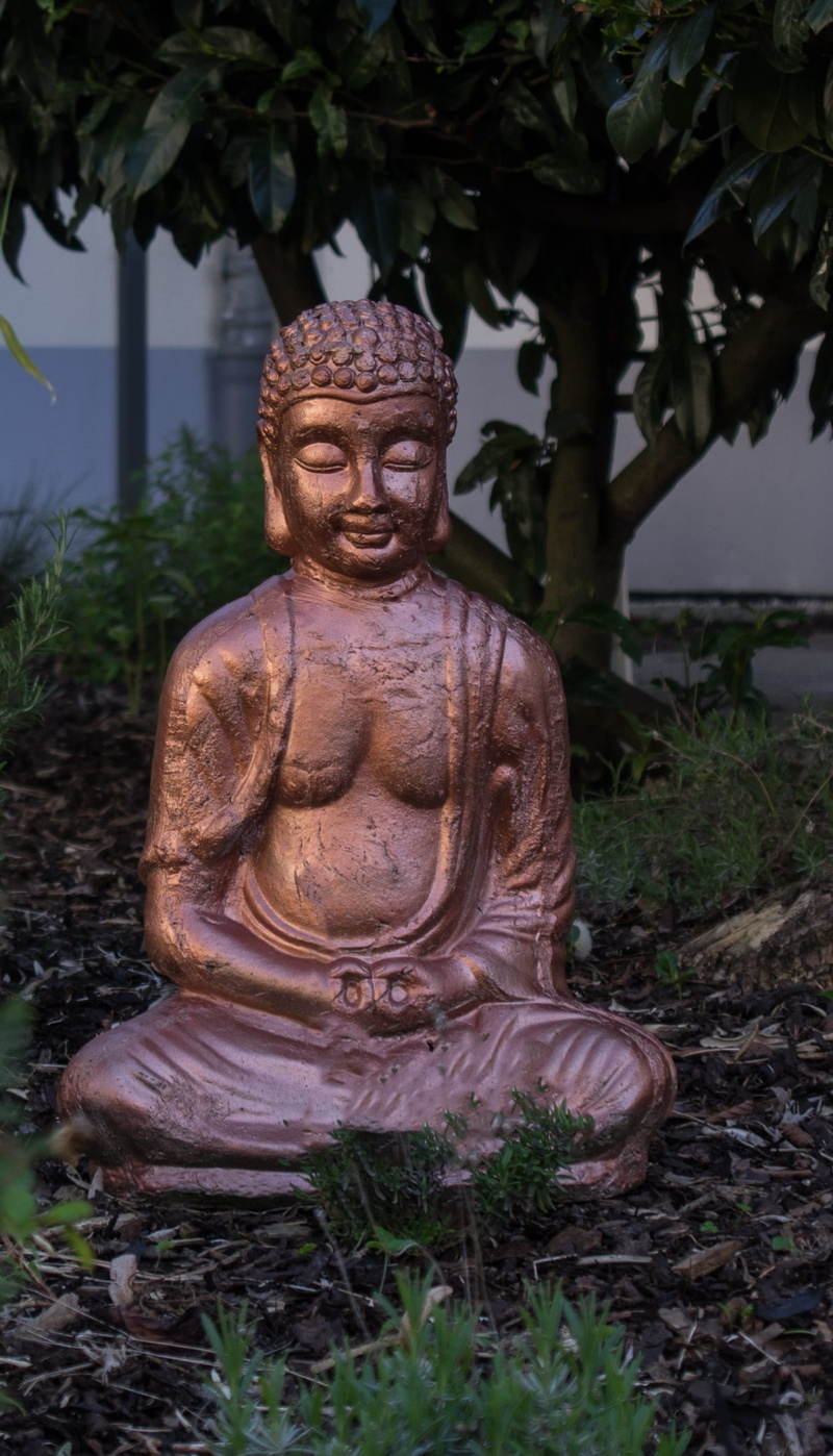 day, plant, meditation, 2K, religious, culture, craft, figure, deity, representation, tree, spiritual, zen, statue, art and craft, sculpture, buddha, buddhism