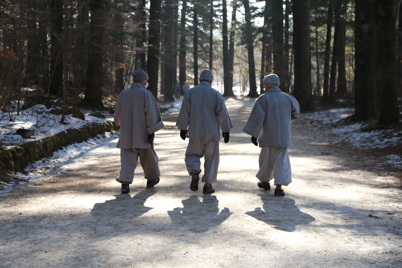 monks, nature, full length, women, tree, outdoors, direction, fir forest, forest, day, warm clothing, people, winter, lifestyles, odaesan, walk, group of people