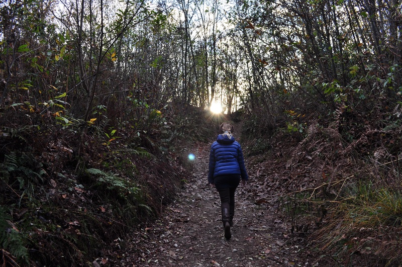 forest, lifestyles, one person, walk, full length, nature, footpath, rear view, walking, casual clothing, tree, leisure activity, real people, land, 2K