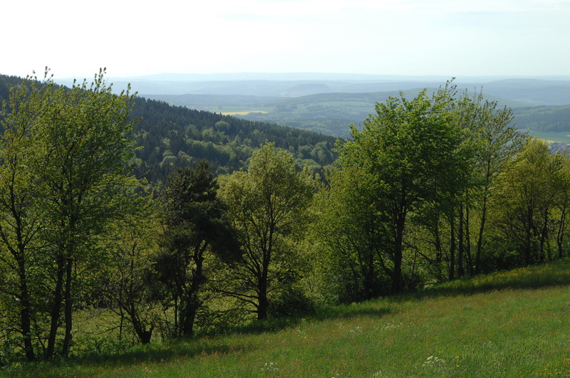 idyllic, tranquil scene, green color, sunny, Rhön, grass, sky, haze, Nature, no people, landscape, plant, growth, environment, day, view, mountain, coniferous tree