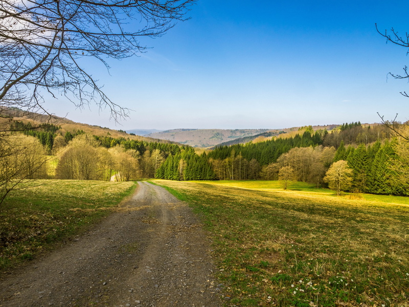 hiking, idyllic, non-urban scene, environment, trees, land, field, the way forward, road, blue, autumn, rhön, direction, beauty in nature, mountains, Spring