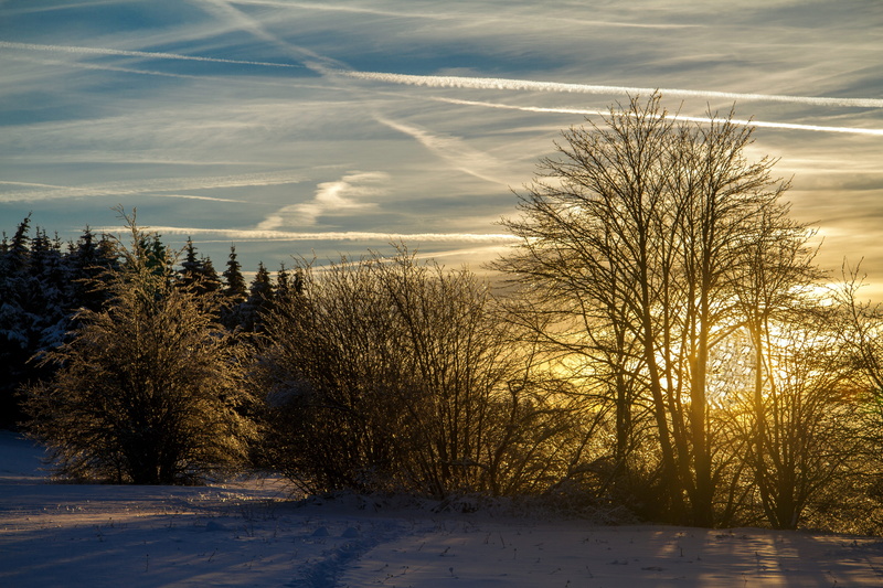 nature, tranquil Scene, covering, outdoors, hochrhoen, sunset, cold temperature, rhön winter, tree, field, no People, land, cold - Temperature, forest