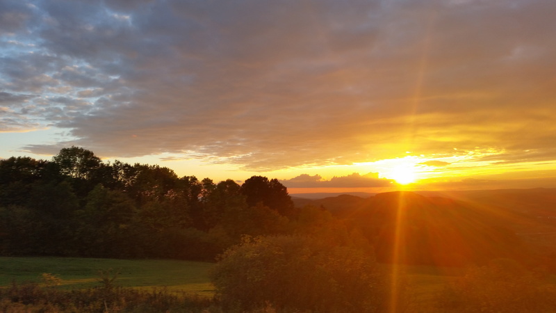 no people, plant, sun, beauty in nature, outdoors, tree, environment, landscape, sunlight, tranquil scene, sunbeam, lens flare, evening sky, abendstimmung