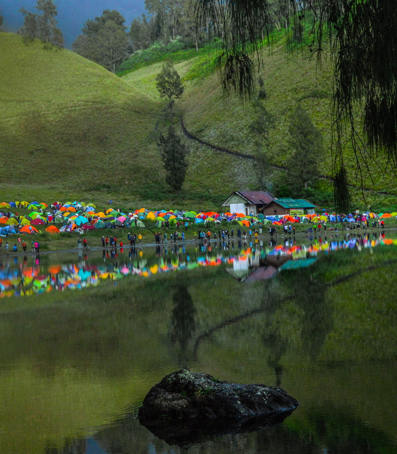 forest, water, scenics - nature, nature, tree, growth, outdoors, beauty in nature, religion, ranu kumbolo, hanging, decoration, 4K, day, tranquility, multi colored