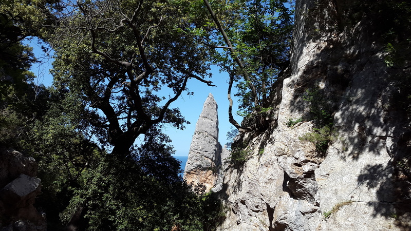 low angle view, climb, land, tree trunk, outdoors, sardinia, rock formation, solid, sky, ogliastra, tranquility, cala goloritzè, beauty in nature, monte caroddi