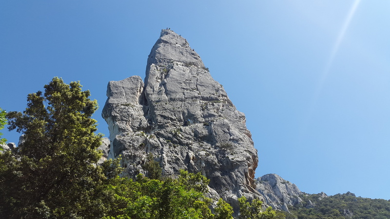 4K, sky, rock - object, pine tree, tree, mountain peak, pinnacle, day, environment, rock formation, nature, low angle view, gulf of orosei, outdoors, steep