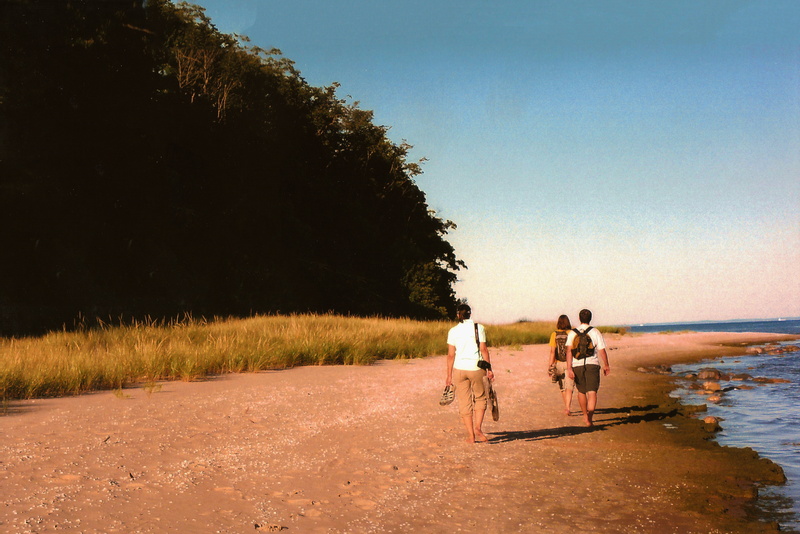 man, cycling, recreational Pursuit, sport, positive emotion, real people, summer, people, wearing, full length, walking, adult, child, tree, togetherness