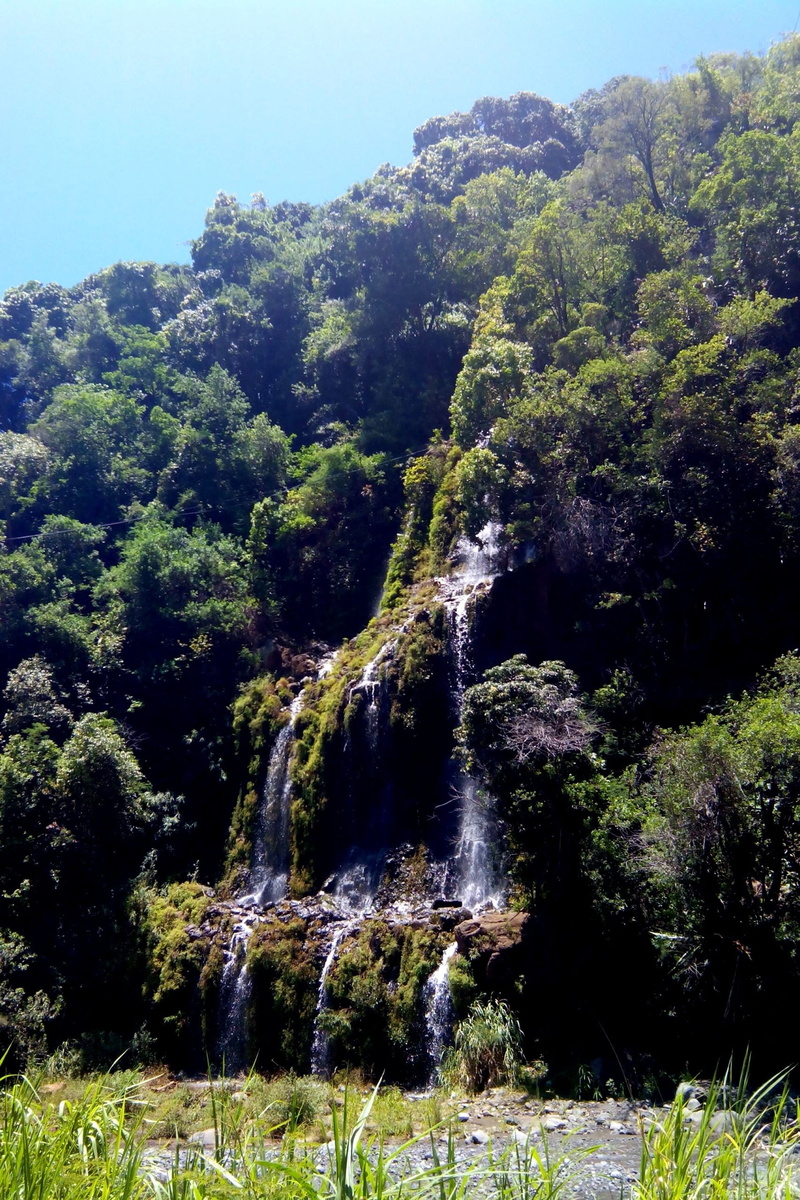 summer, non-urban scene, green Color, scenics - nature, flowing water, rainforest, growth, outdoors, reunion island, land, power in nature, flowing, 1080P