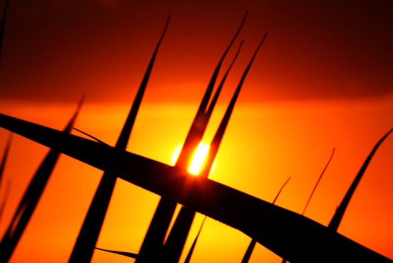 sunlight, evening, tranquility, reunion island, nature, no people, beach, light, back lit, orange color, ocean, red, metal, sky, sea, tranquil scene, silhouette