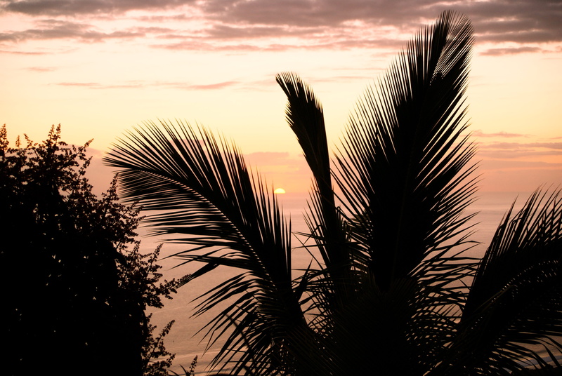 sunset, ocean, light, growth, palm, romantic sky, dramatic sky, indian ocean, scenics - nature, inflamed, no people, holiday, tranquil scene, orange color