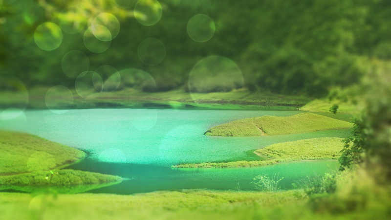 land, growth, water, tranquility, grass, day, 1080P, floating on water, Tree, scenics - nature, close-up, tranquil scene, turquoise colored, tree, transparent