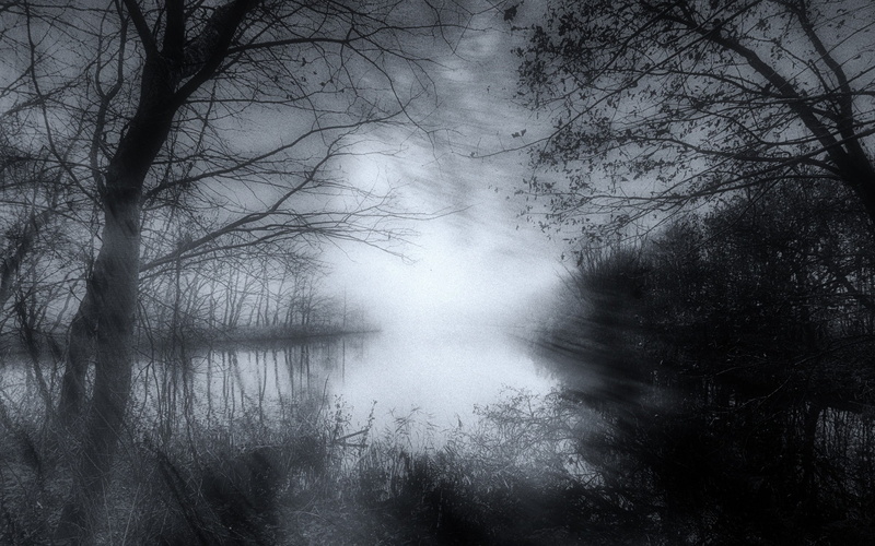tranquil scene, morning, shrubs, monochrome, scenics - nature, non-urban scene, trees, water, tree, haze, bare tree, no people, landscape, idyllic, plant