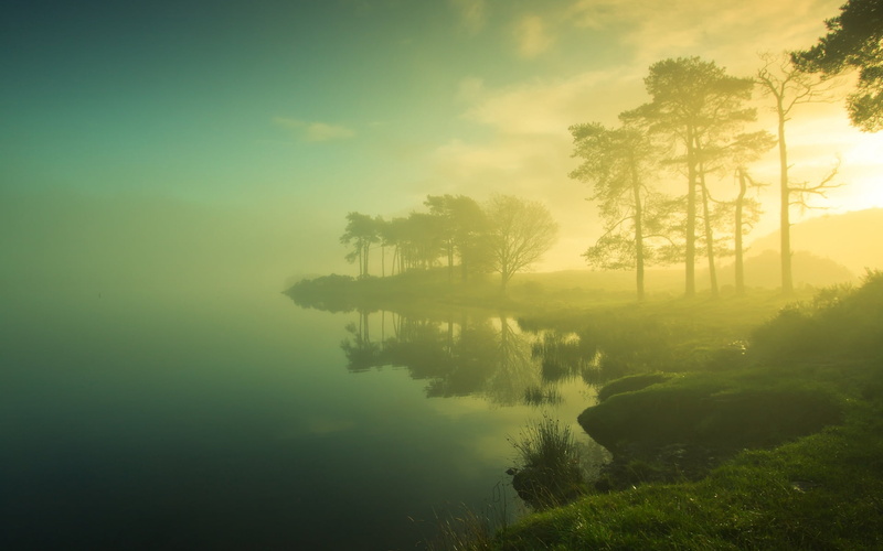 green Color, morning, sky, forest, sunset, rural Scene, leafed, cloud - sky, sunrise - Dawn, water, scenics - nature, non-Urban Scene, tranquil Scene, haze