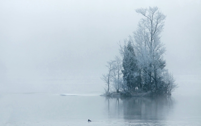 no People, landscapes, branch, white, nature, blue, 720P, rural Scene, plant, waterfront, forest, backgrounds, fog, day, bare, frozen, water, trees, island