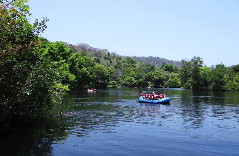 view, nautical vessel, transportation, scenics - nature, passenger craft, tree, travel, india, dandeli, plant, green color, water, natural, mountain, scenery