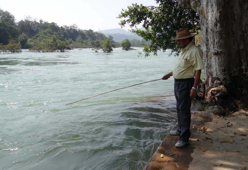 western ghats, one person, lifestyles, india, angling, angler, tree, leisure activity, day, 4K, scenics - nature, outdoors, water, real people, casual clothing