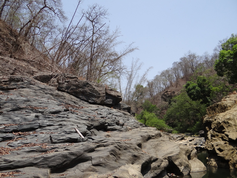 beauty in nature, wild, rock formation, outdoors, rock, travel, karnataka, clear sky, sky, tree, flowing, india, non-urban scene, solid, plant, low angle view