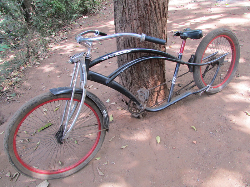Bike, Old, mode of transportation, cycle, outdoors, leaning, Dandeli, plant, nature, mode of transport, transportation, parking, land vehicle, 2K, cycling