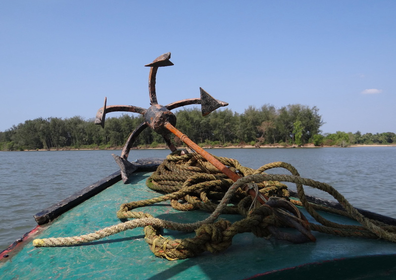 non-urban scene, kali, beauty in nature, river, clear sky, arabian sea, sky, plant, transportation, driftwood, nature, day, tranquil scene, Iron, estuary