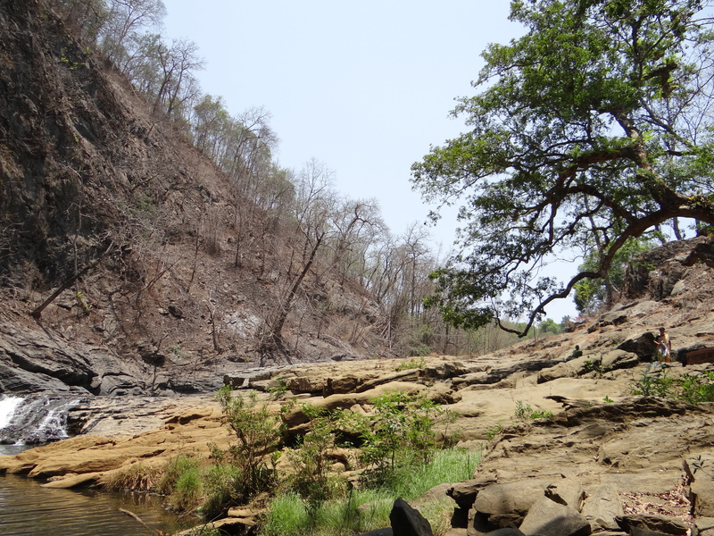 dandeli, tree, flowing, stream - flowing water, solid, forest, no people, 4K, syntheri rocks, rock - Object, day, travel, outdoors, sky, plant, landscape