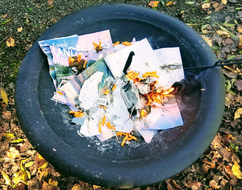 no people, water, outdoors, knife, close-up, dog poop, field, day, geometric shape, land, park, plant, bucket, calendar, leaf, circle, leaves, directly above
