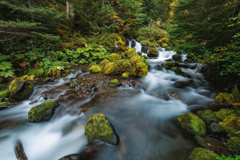 nature, green, water, pacific northwest, falling water, creek, tree, scenics - nature, motion, united states, long exposure, blurred motion, river, green color
