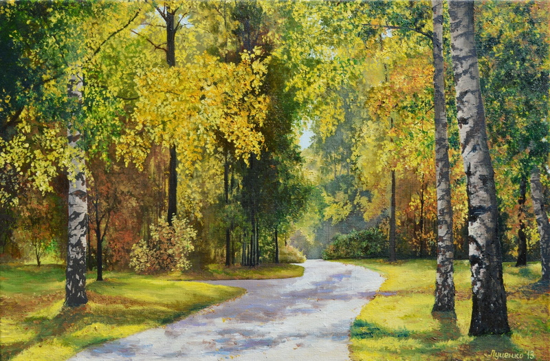 woodland, lush Foliage, picture, trunk, hallway, leaf, gold Colored, growth, beauty In Nature, tranquil Scene, outdoors, sunlight, october, backgrounds