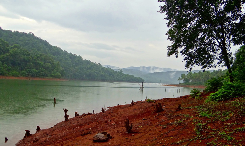 natural, landscapes, non-urban scene, scenics, scenics - nature, color Image, tranquility, outdoor, day, nature, land, Kali River, view, water, tree, wild