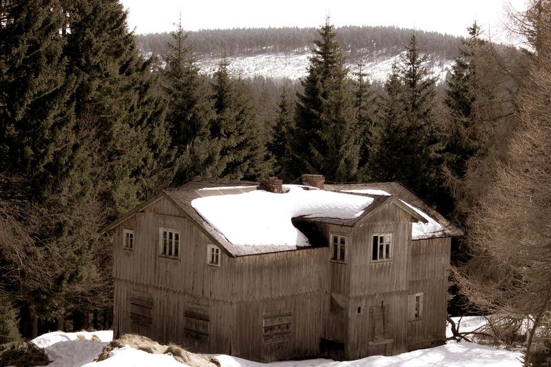 plant, tub, house, cold temperature, jacuzzi, cabin, nature, fir, housing, hot tub, rural, architecture, forest, cottage, shack, built structure, countryside