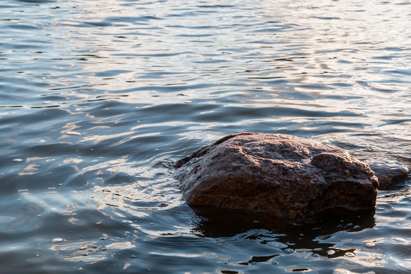rippled, 4K, outdoors, bubble, nature photo, floating on water, Beach, day, solid, animals in the wild, Sea, surface, animal wildlife, l, sea, rock - object