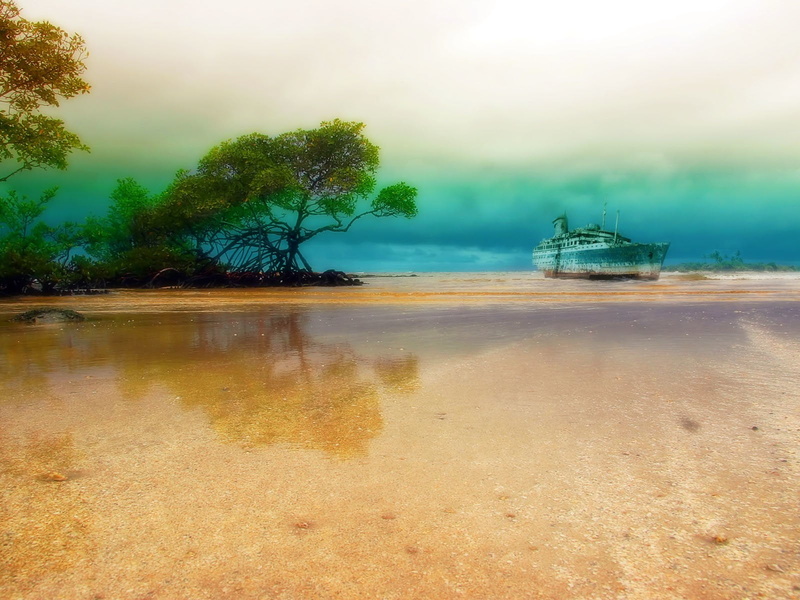 tropical Climate, travel Locations, travel, outdoors, nautical Vessel, color Image, blue, Mangrove, tranquility, scenics - nature, no People, mode of transportation