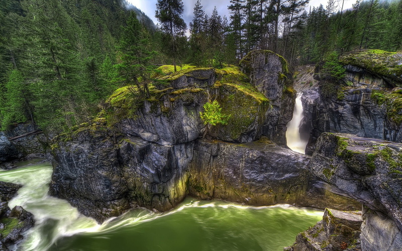 scenics - nature, river, non-urban scene, 1080P, waterfall, land, nature, rock - object, tranquility, forest, waterfalls, flowing water, power in nature