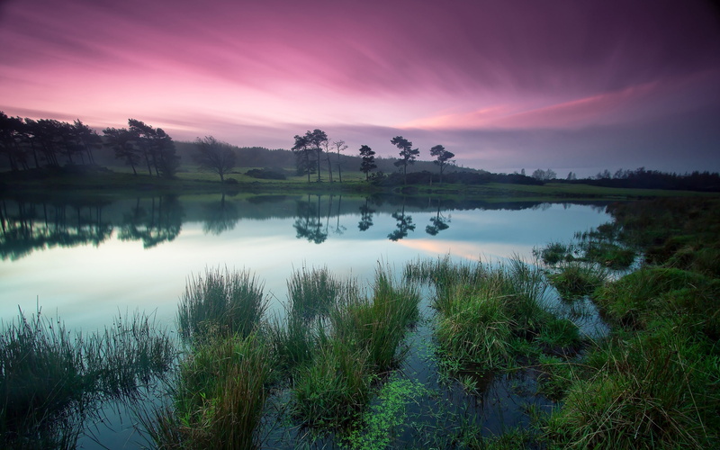 lakes, Dusk, Purple, Beauty, Lake, Green, Sky, 2K, Tranquil, Trees