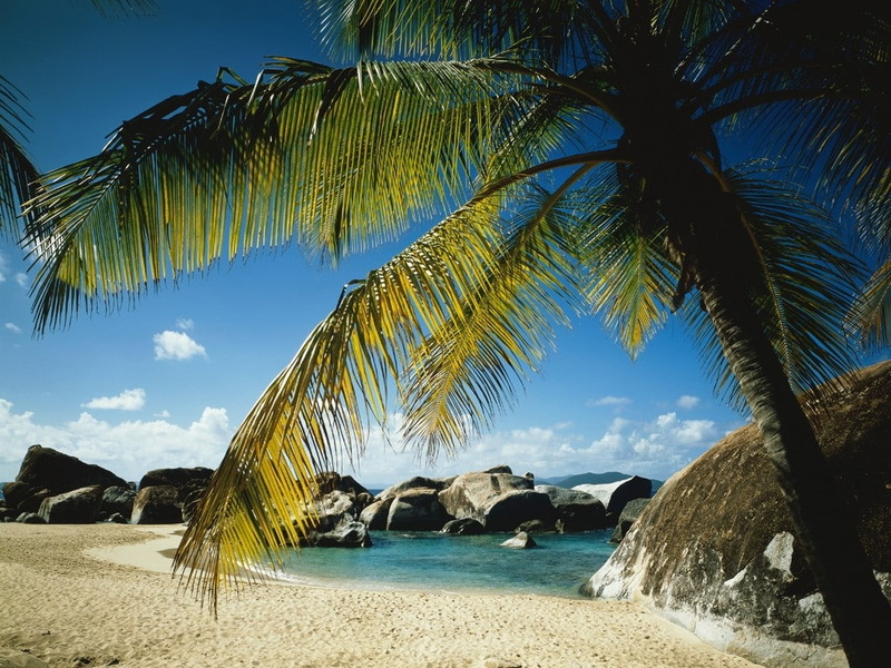 tranquil, hd, paradise, sand, 480P, palm, palm tree, tree, nature, sky, rocks, ocean, azure, beach