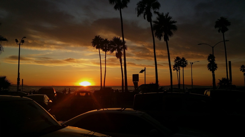 tropical climate, plant, silhouette, palm trees, nature, 4K, orange color, winter, tree, beach, beauty in nature, newport beach, water, sky, motor vehicle