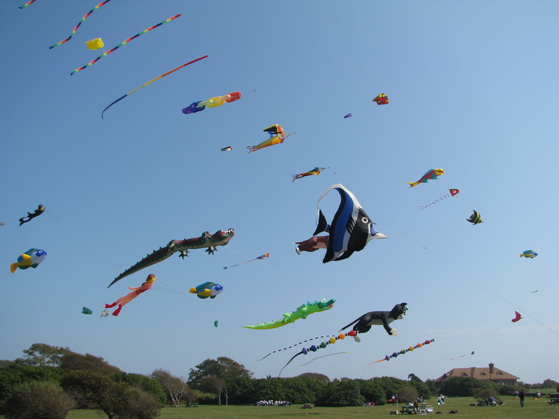mermaid, flying, animal wildlife, cat, no people, clear sky, multi colored, fly kite, outdoors, brenton point state park, celebration, low angle view, freedom