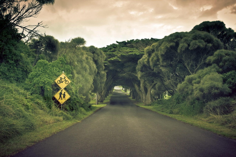 3d and abstract, concrete, street, home, trees, pretty, black, beautiful, 1080P, road, sign